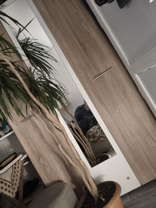 Vind garsoniera cf3 urgent