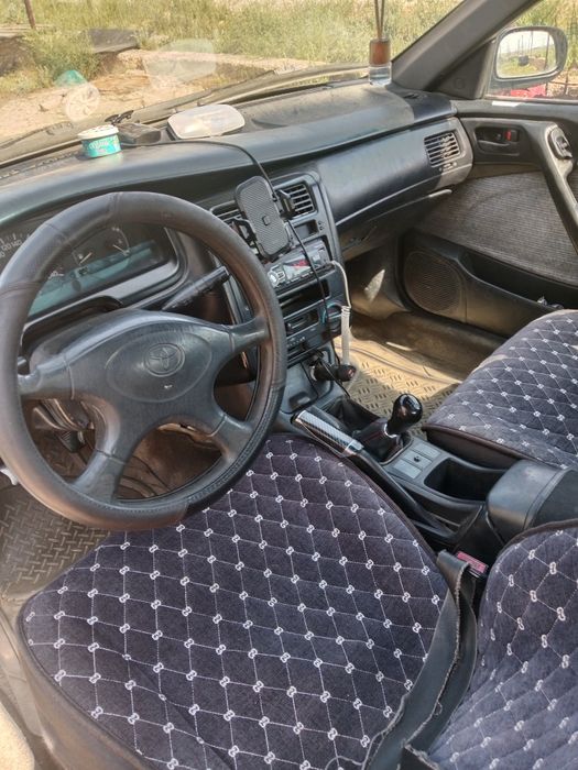 Таета Карина продам