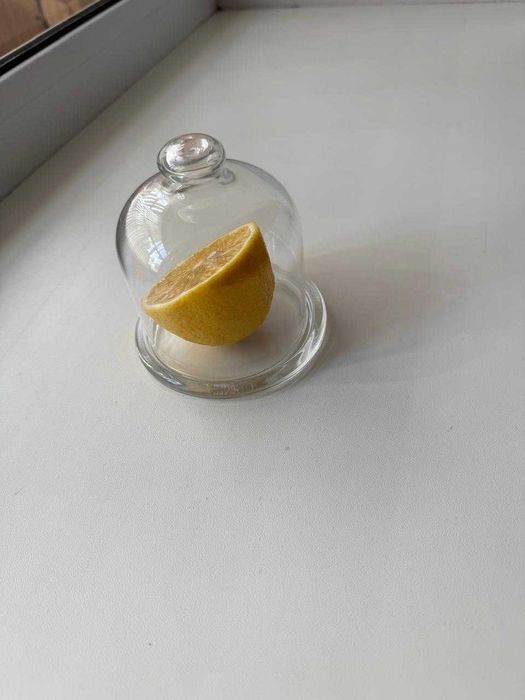 Посуда Лимонница, контейнер