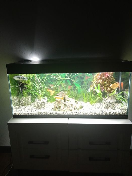 Продам новый аквариум