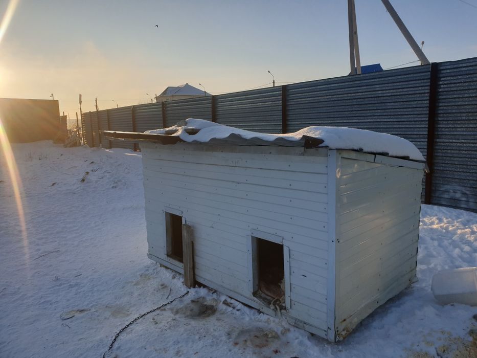 Продам будку для собак