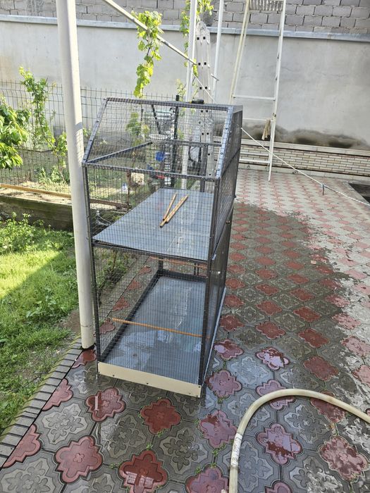 Valer sotiladi holati zur