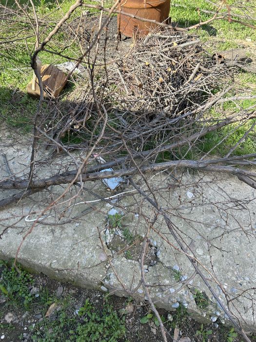 Ағаш отындар бар