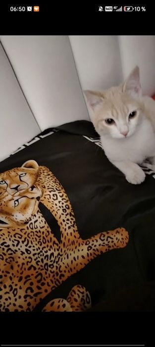 Только Только в хорошие ручки