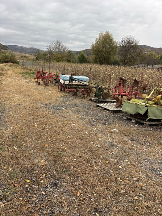 Plug krone 3 trupite