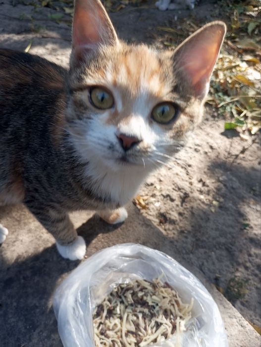 Rus porno: Ota va qizi