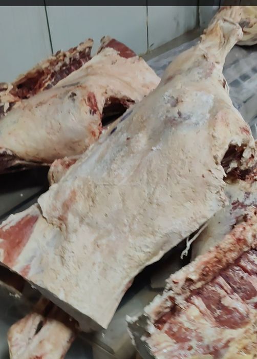 Продам туши говядины