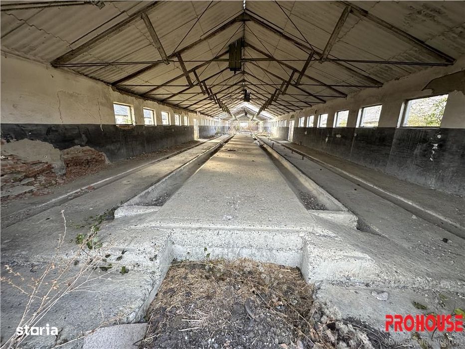 Platforma industriala 27.000mp - Racova - Buhusi