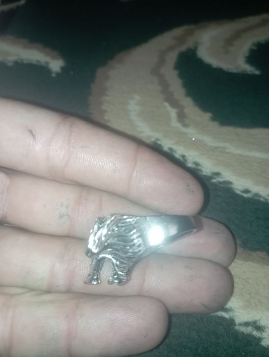 Uzur Wolf    Tozza Kumush