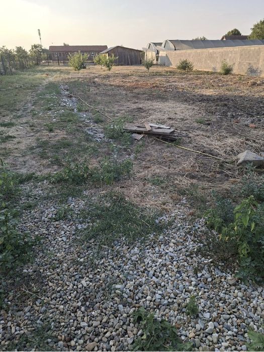 Vând teren in Livada de Bihor