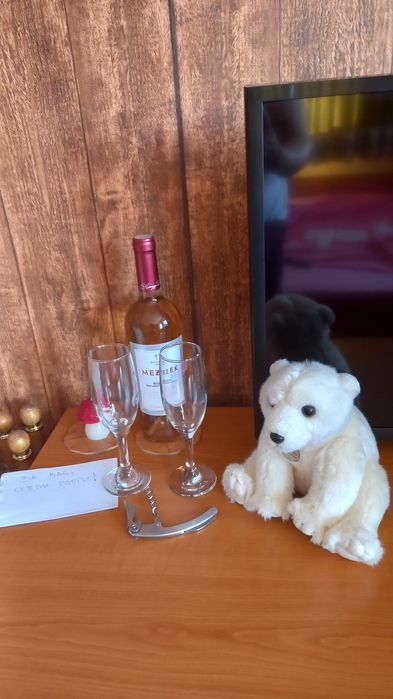 Пампорово, студио  за нощувки