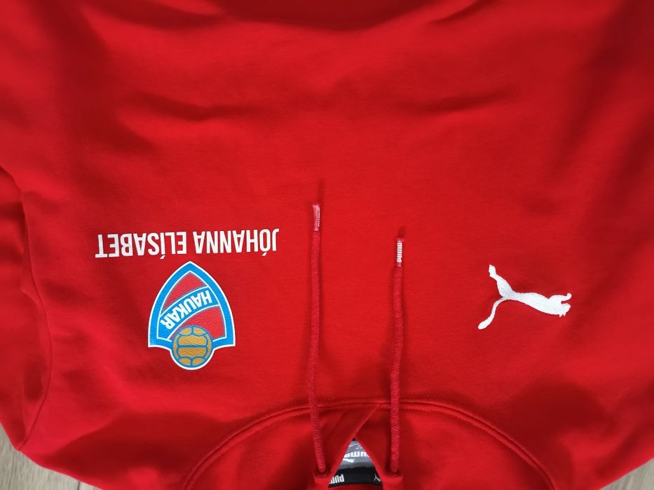 Puma Haukar худи
