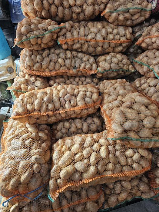 Cartofi de vânzare sat iasi comuna rece