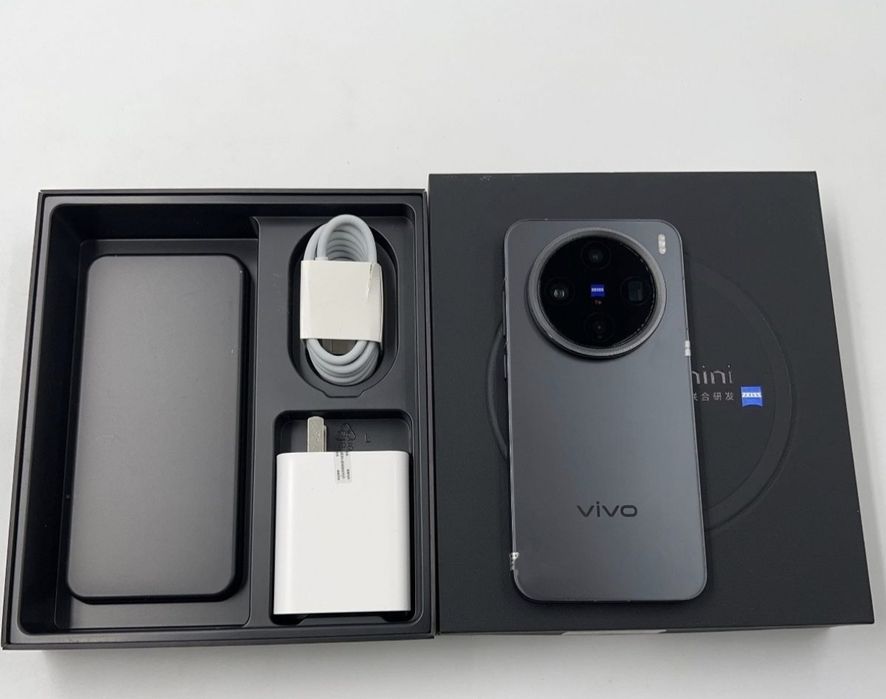 Vivo x200 Pro mini