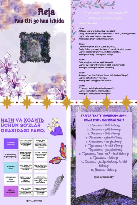 Русский язык для начинающих/ Rus tili boshlanuvchilar uchun