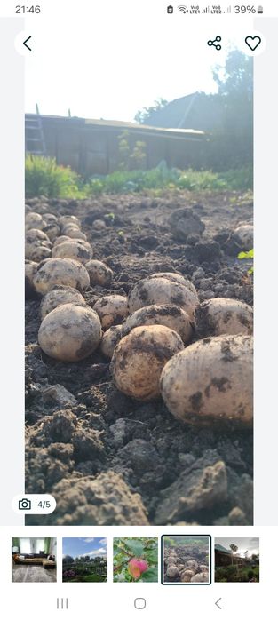 СРОЧНО Продам дом район Гавани