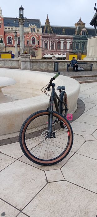 Vand Hardtail agresiv Ns Eccentric alu evo 29