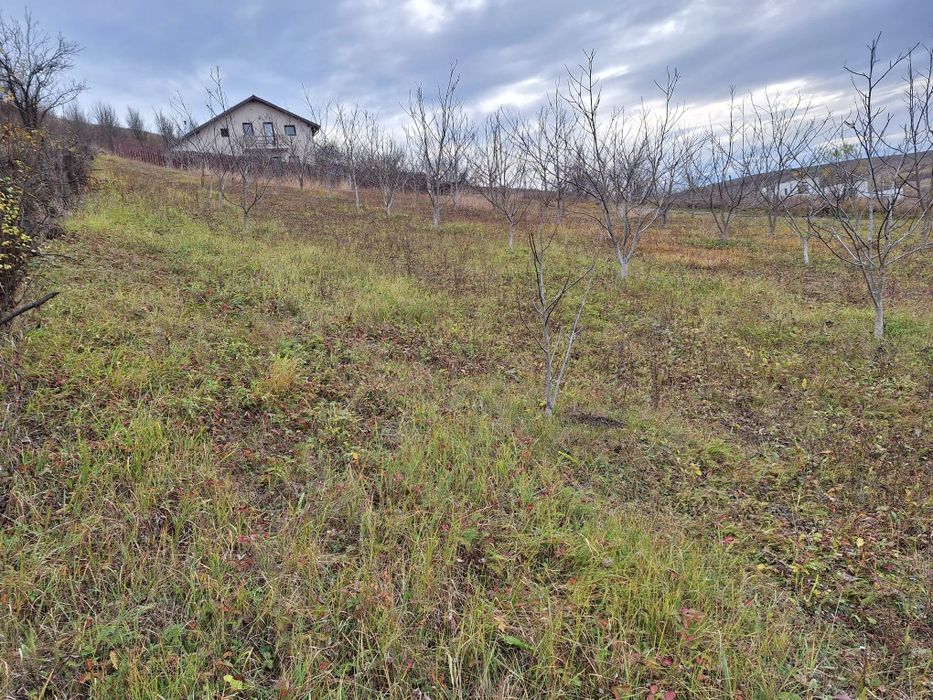 Vand teren intravilan Dezmir