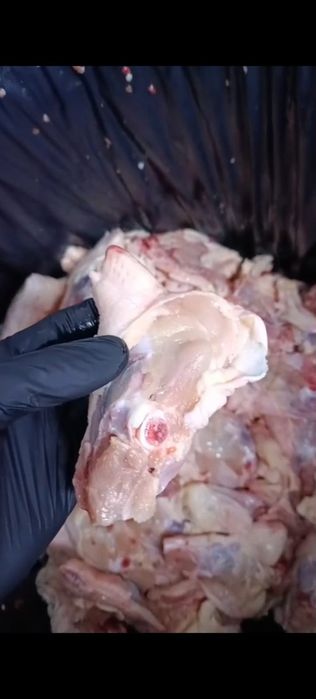 Куриные спинки и кости