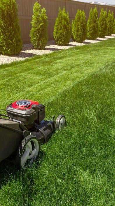 Покос травы триммером