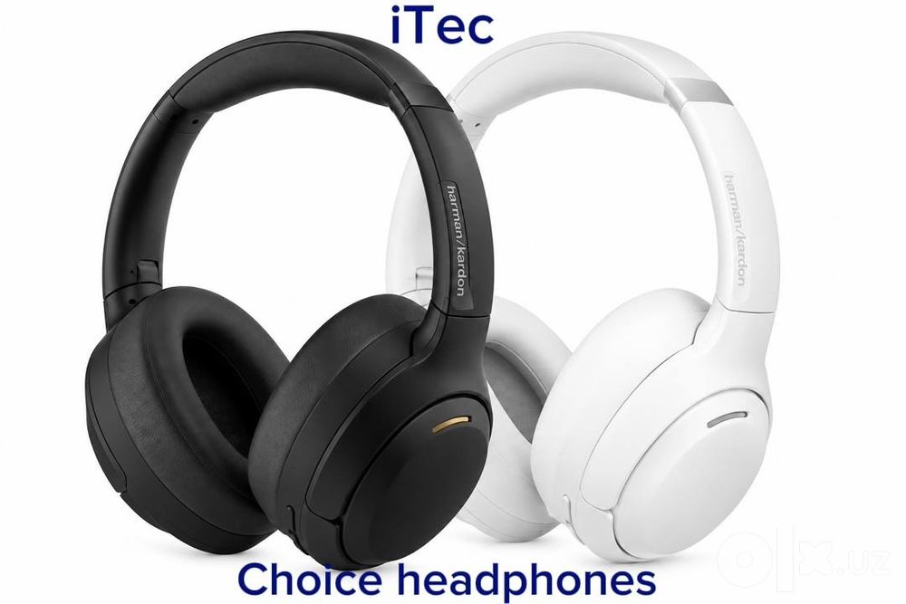 Honor choice headphones