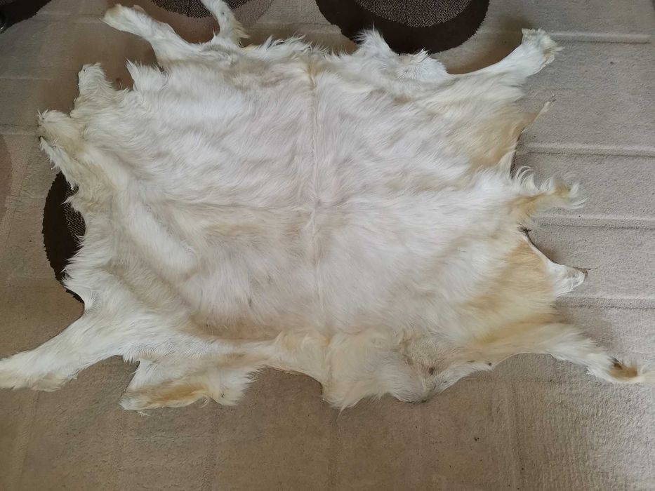 естествена кожа яре и агне - 100% качество