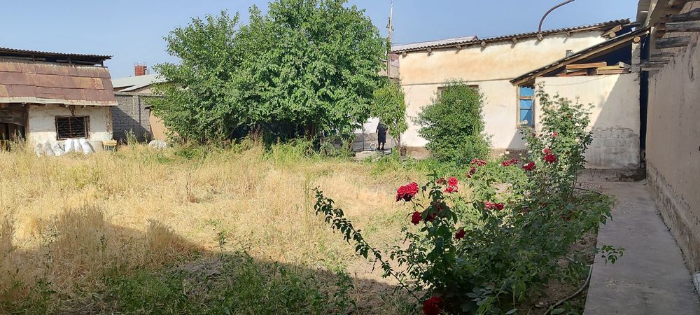 uy sotiladi manzll yuqori chirchiq tumani bardankul bolta 10 sotix er