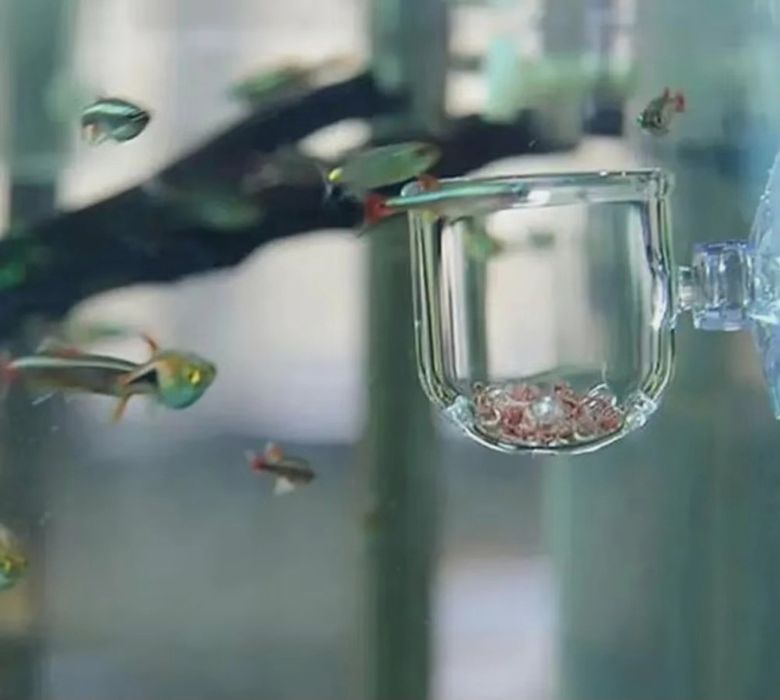 Кормушка для аквариумных рыб и растений 
1. Высокая прозрачность: это