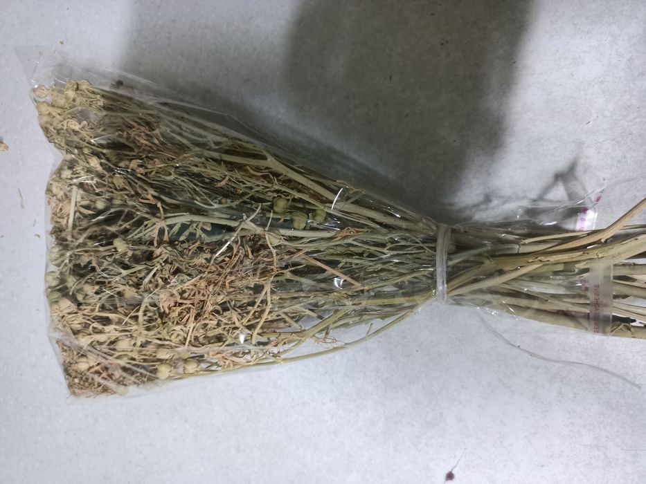 Адыраспандап адыраспан