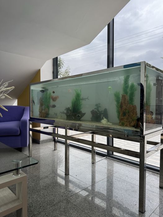 Чистка аквариума | Vaqt va asabingizni tejang!” AQUAWORLD |