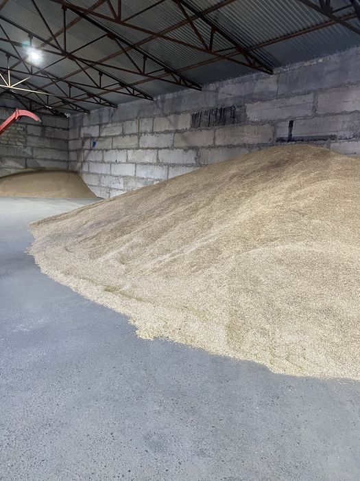 Продам Овес,                          Сұлы сатамын