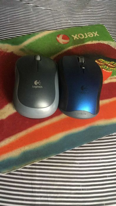 МИШКИ logitech m185