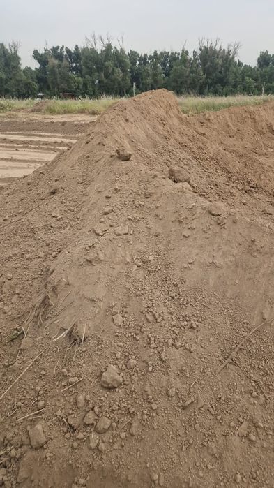 Навоз Конский, Чистый.