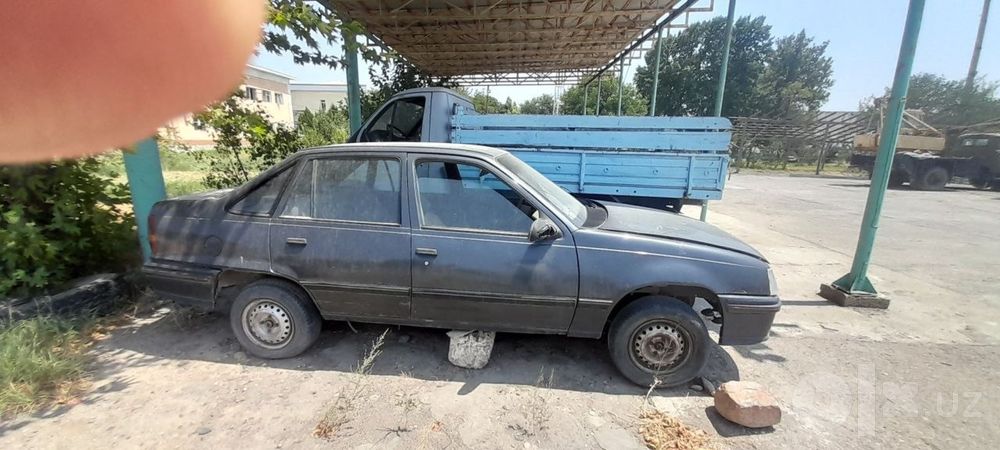 Рейсер 1993 не исправен
