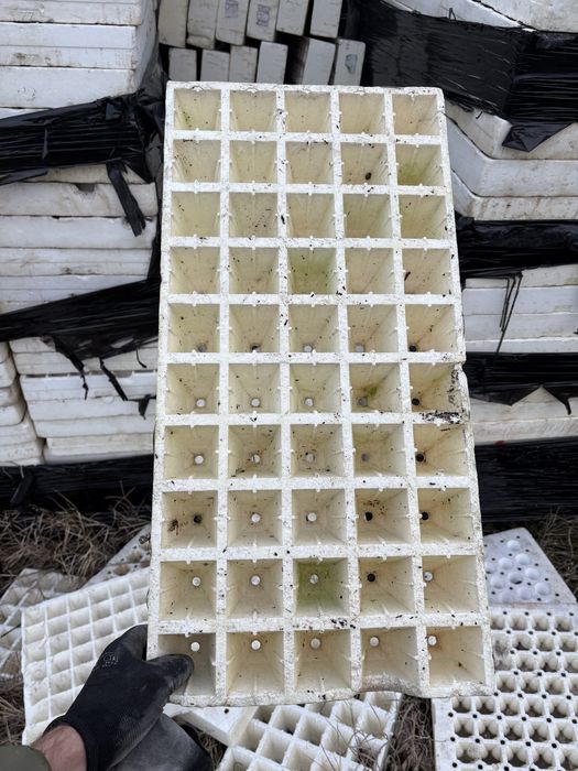 Табли табла за разсад 50 гнезда