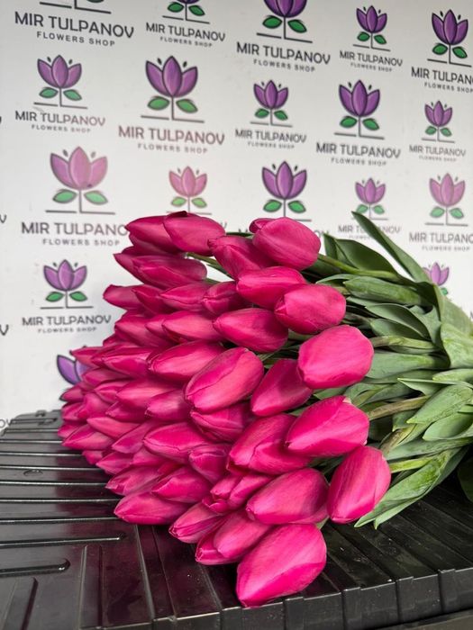 Тюльпаны оптом от 430тг