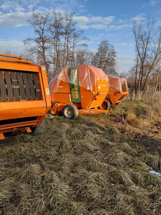 Balotiera galigniani