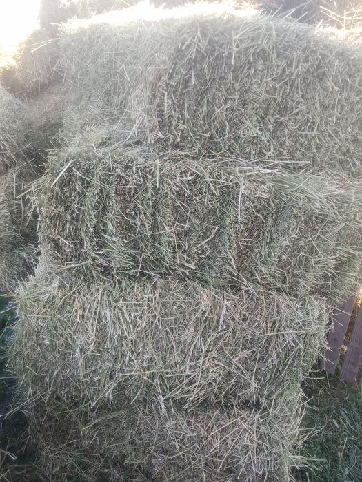 Шоп сатылады жоныршка
