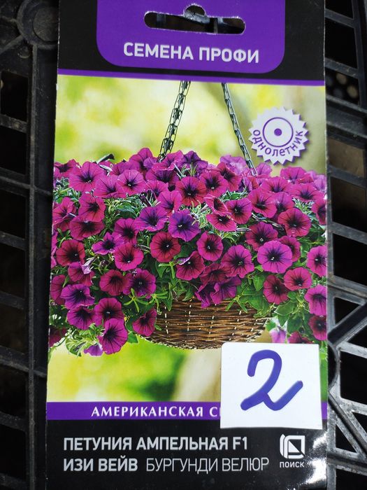 Продам рассаду ампельной петунии.