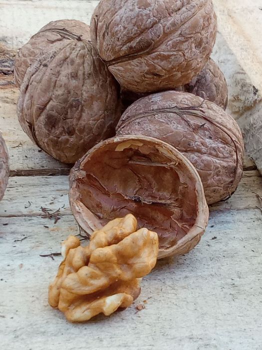 Nuci verzi producție anul 2025 deosebit de mare