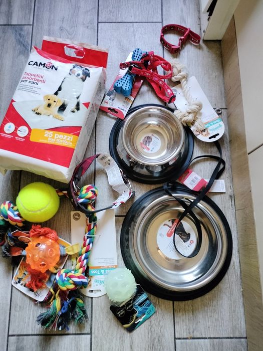 Castroane , pemparsi , jucării pt căței