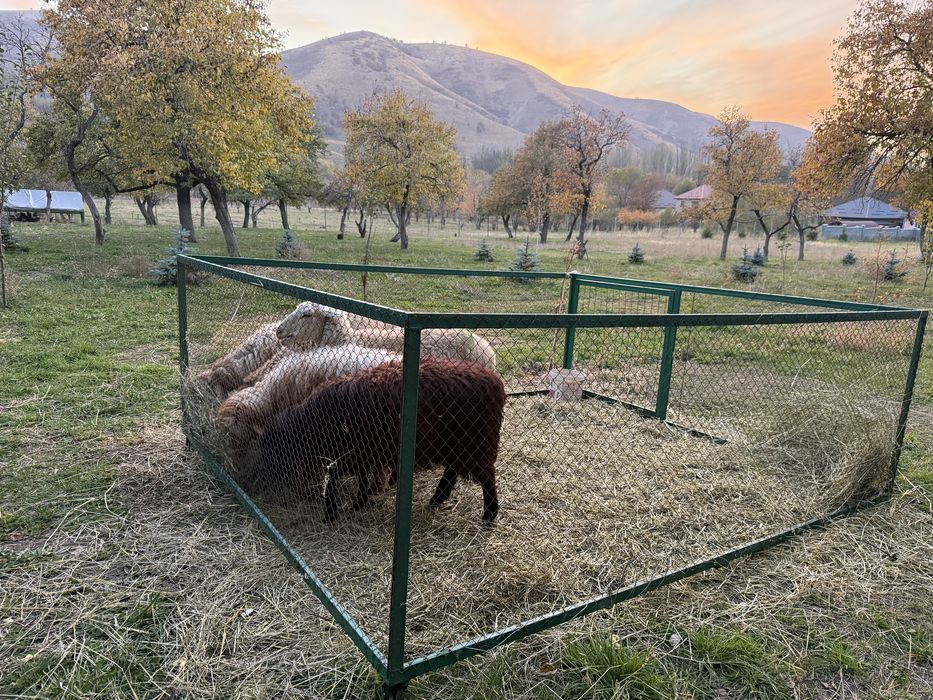 Вольер универсальный, клетка, курятник