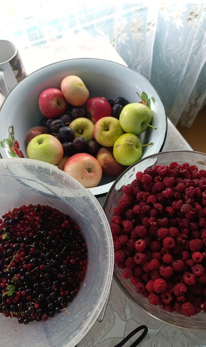 Дача для отдыха и садоводства