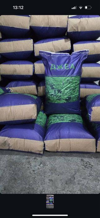 Қолжетімді бағада жоңышқа ұрығын сатамын