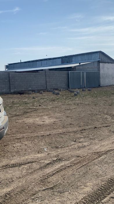 Продам фазенду 800 гектар