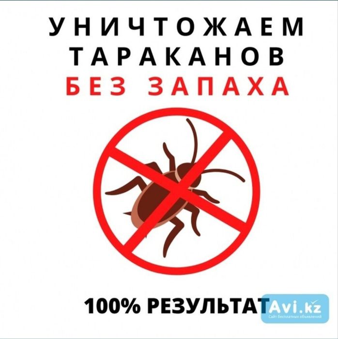 Дезинфекция Алматы Клопы Тараканы