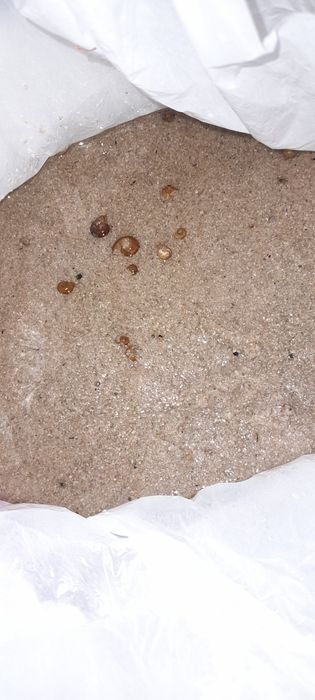 Аквариум панорамный.