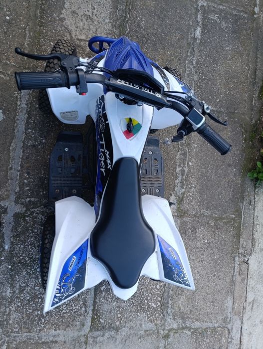 ATV car08 falcon TIGER 800W