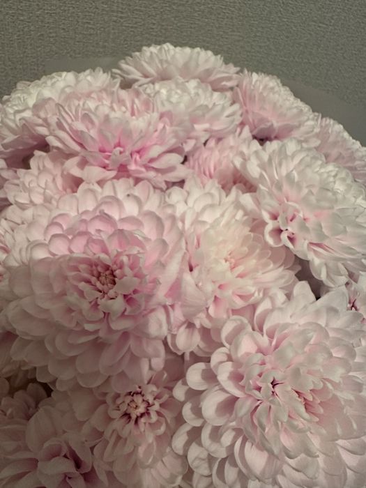 Цветы свежие красивые