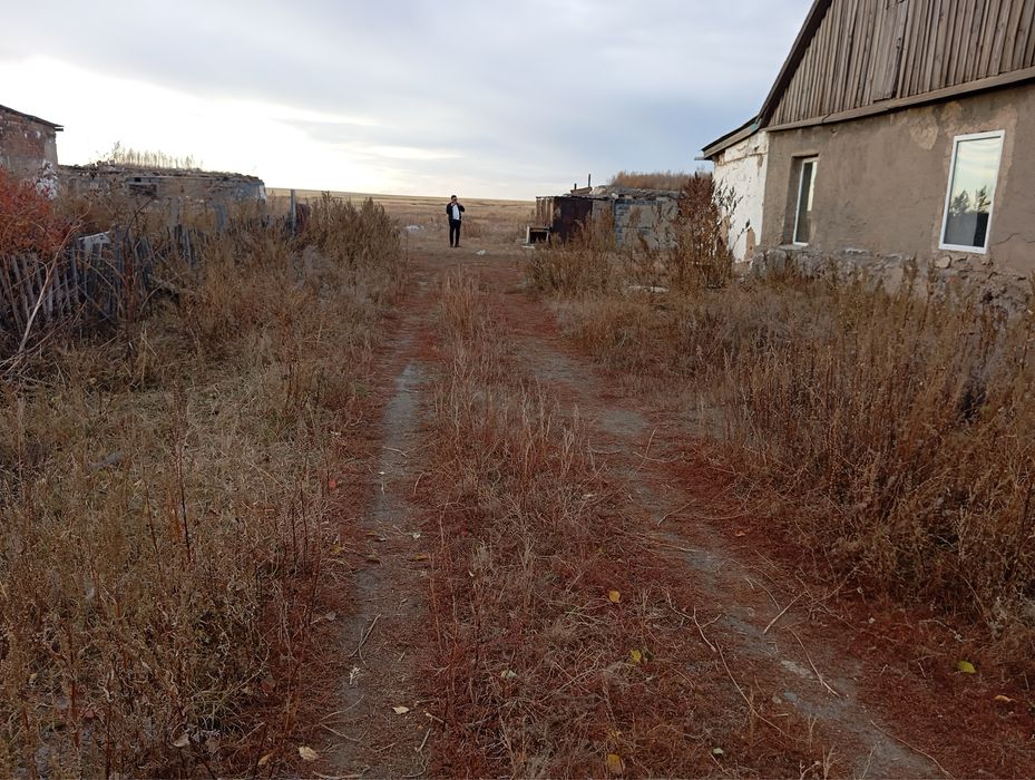 Продаю дом в Доскей